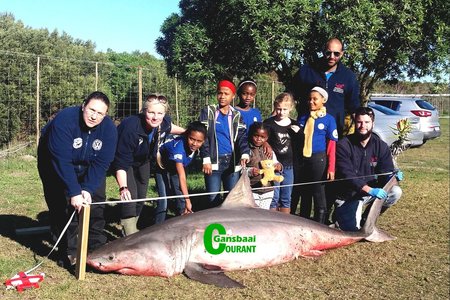 Children from the Trust’s Enviro Kids Club during an education session, with (from ltr) Meredith Thornton, Alison Towner, Karim Mostafa (standing) and Ettiene Roets (sitting).
