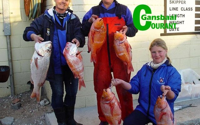 Dames: Die WP-damespan  het op die eerste dag tweede op die telbord gelê en terug gesak na die vyfde plek.  Van links Amanda van Staden (kaptein), Adele Palmer en Carla Rautman.