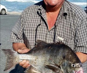 Galjoen-bielie laat Freddie sweet