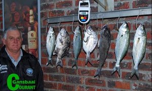 Pearly hengelaars heeltemal te slim vir visse