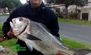 Kobus Prawn spog met 'n bielie