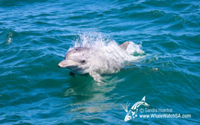 20160914_DC_Trip2_SHoerbst_IMG_063_580x388 20160914_DC_Trip2_SHoerbst_IMG_063_580x388