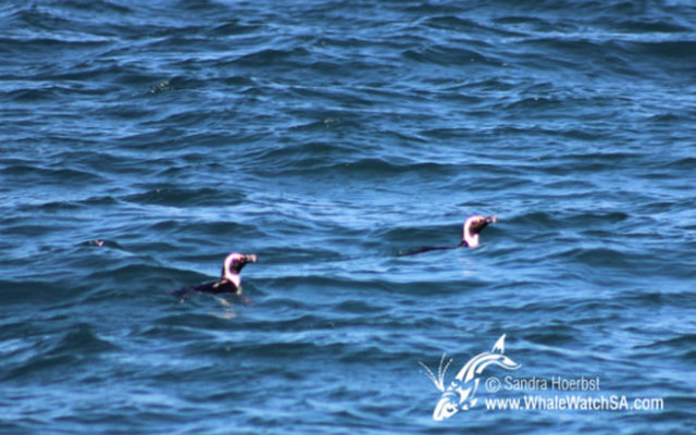 20160914_DC_Trip2_SHoerbst_IMG_092_580x388 20160914_DC_Trip2_SHoerbst_IMG_092_580x388