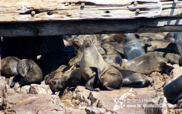 20160914_DC_Trip2_SHoerbst_IMG_121_580x388 20160914_DC_Trip2_SHoerbst_IMG_121_580x388