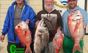 Overberg beleef heerlike weer