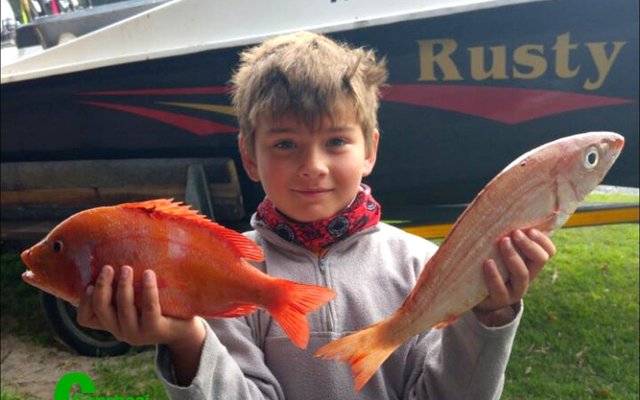 Klublede is baie opgewonde oor hulle jongste lid wat Saterdag aan sy eerste kompetisie deelgeneem het. Die 8-jarige Jaco van Staden volg in die voetspore van sy WP-hengelaar ma en boetie, Amanda en Werner.  Sy pa Riaan, is die gesin se steunpilaar aan wal.