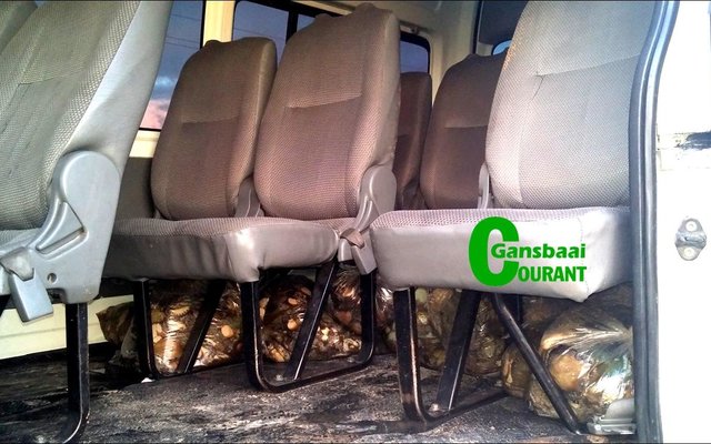 Perlemoendiewe het hul buit onder die taxi se sitplekke ingedruk.