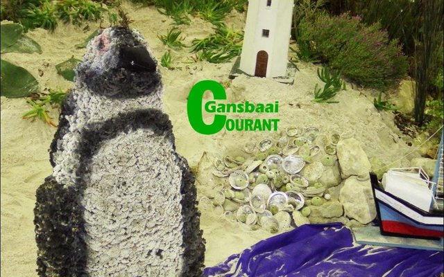 Gansbaai_Verruklike_Fynbosskou_verras_besoekers_2