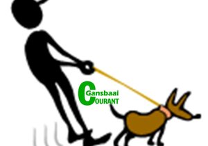 Join the Nose to Tail Trail