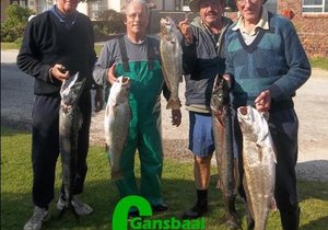 Voor- en nadele van 'n boot