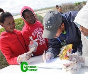 Plastiek - nóg 'n kusmoordenaar