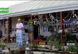 Kunstenaars stal uit