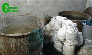   Two arrested in R4.5m abalone bust