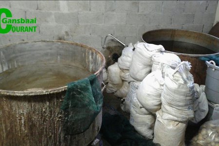 Bags full of abalone confiscated in Gordon's Bay during a search and seizure operation.