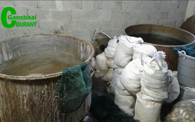Bags full of abalone confiscated in Gordon's Bay during a search and seizure operation.
