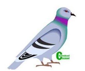 Duiwenuus (29 Sep 2016)