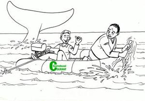 Hoe hanteer jy 'n haai