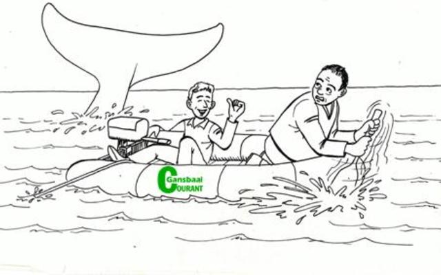 ‘n Ontmoeting met ‘n walvis is natuurlik ‘n ander storie….!!  