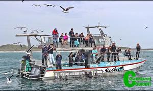 SA Blue Flag status for Marine’s three vessels