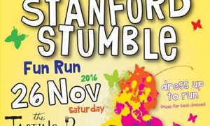 Stanford Stumble 2016