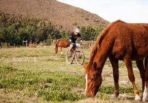 10 Things to Do in Greyton this Summer