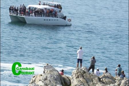 “Die bote kom so na aan die kant, dat jy dit met ‘n kettie kan raakskiet van die rotse af”, het ‘n bekommerde inwoner die Gansbaai Courant laat weet. Foto F de Jongh