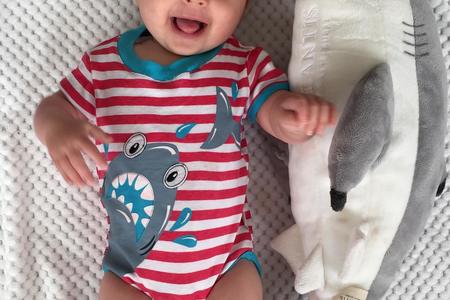 Christmas sharky baby suit at Shark Diving Unlimited