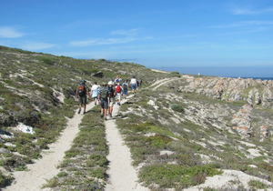 Coastal/Beach Clean-up Saturday - 10 December