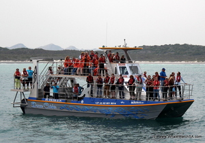 Discover the Marine Big 5