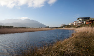 Pringle Bay & Rooi Els through the eyes of Locals