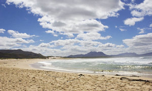 5 Fun Family Activities in Kleinmond