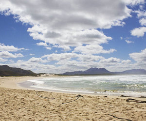 5 Fun Family Activities in Kleinmond