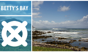 Betty’s Bay - Village Caught Between Mountains & Ocean