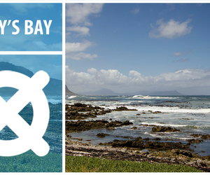 Betty’s Bay - Village Caught Between Mountains & Ocean