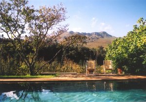 Grabouw & Elgin Valley through the eyes of Locals