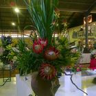Cape Floral Kingdom Expo