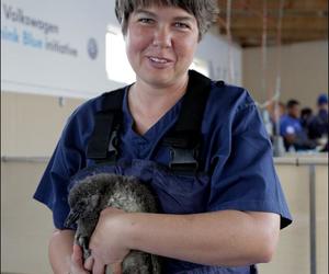 A dream fulfilled - full  time with penguins