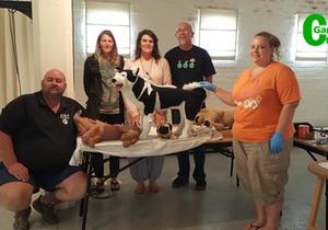 Noodhulp vir troeteldiere