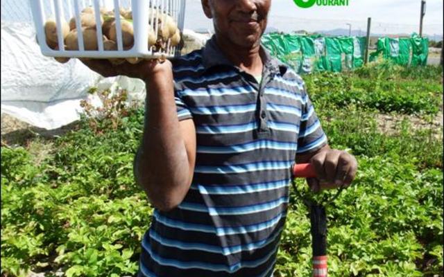 Norman Sauls van Blompark het trots laat weet dat hy Ikamva se eerste aartappeloes uitgehaal het. Ikamva Jeugontwikkeling en Rekenaar-sentrum, is ‘n organisasie wat fokus op die toekoms van die jeug. Ikamva, ‘n Xhosa-woord wat “die toekoms” beteken, word dus heel gepas gebruik vir hul werksaamhede. Blompark se Ikamva-groentetuin was ook een van die groentetuine wat deelgeneem het aan Gansbaai Toerisme se jaarlikse tuinboukompetisie. Hulle  het breëbors weggestap met ‘n prys. 