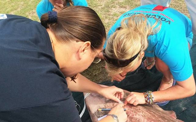 16602032_10155020849437520_4841529349398733575_o