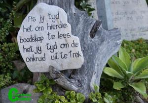 As jy dit nog kan geniet, waardeer dit