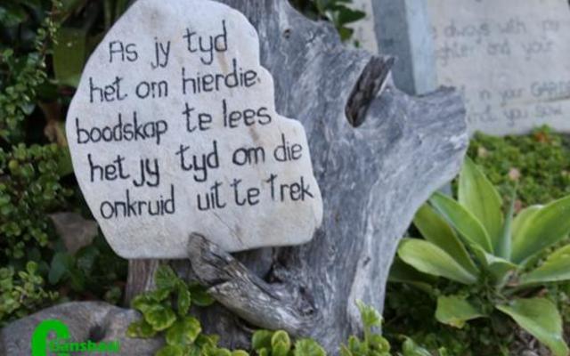 Dis wanneer jy see toe gaan en jou vrou by die huis los,dat sy tyd kry om klippe soos dié te verf.