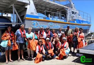 Rare sonvis opgemerk