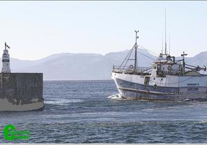 “U troue liefde is meer werd as die lewe” - Ons sê sommer net dankie