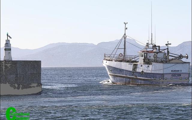 GansbaaiOnsSeSommerNetDankie