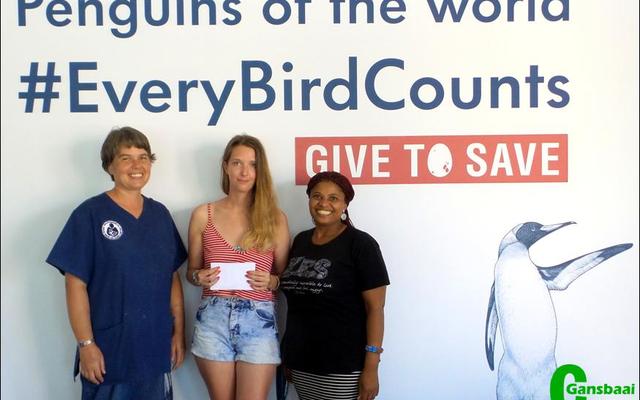 Kayleigh Hawkins, a returning international marine volunteer, started  a  GoFundMe fundraiser seven months ago to help African penguins in peril at the African Penguin and Seabird Sanctuary near Kleinbaai. Her goal was to raise £300 (approximately R5 000). Kayleigh is back in Gansbaai for six weeks having raised a total amount of £940 (R16 239) of which she is also donating an amount of R1 700 to the Dyer Island Conservation Trust's DEEP programme.
