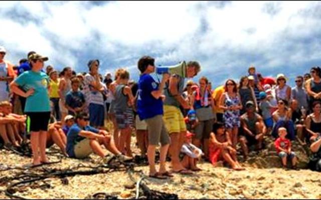 GansbaaiPikkewynloslatingLokDieGrootsteSkareInDieGeskiedenis2