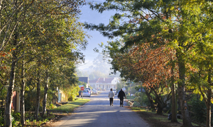 Show your pet some love this International Pet Day