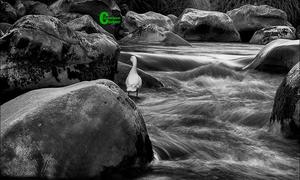 Die opwinding van waterfotografie