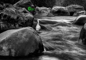 Die opwinding van waterfotografie